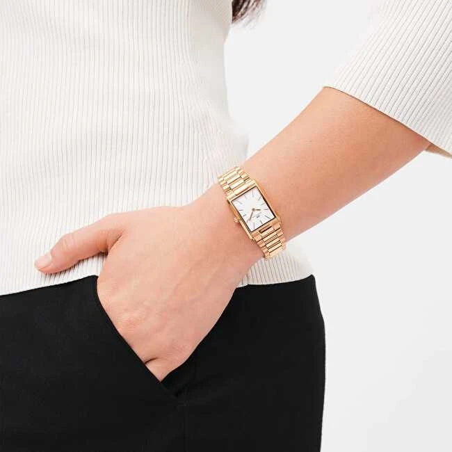 Moteriškas laikrodis DANIEL WELLINGTON Bound 3-Link DW00100699 + BOX