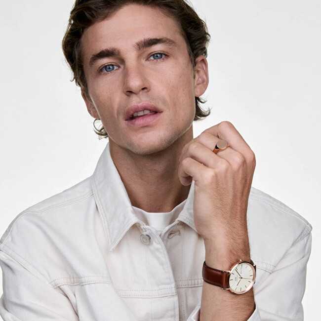 Laikrodis Męski zegarek DANIEL WELLINGTON DW00100829