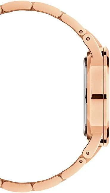 Laikrodis DANIEL WELLINGTON ICONIC LINK DW00100344