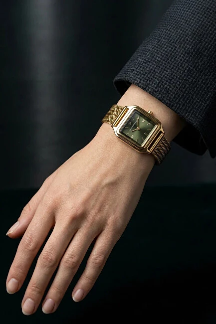 Laikrodis Emily Westwood Daily Aura EFW-5914GQ