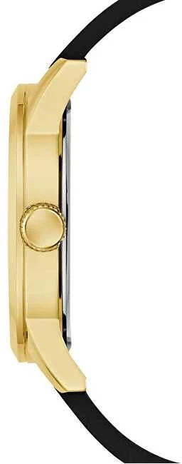 Laikrodis Watches GUESS GENTS GW0781G4