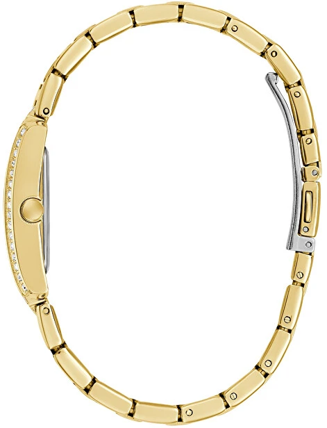 Laikrodis Watches GUESS LADIES GW0995L2