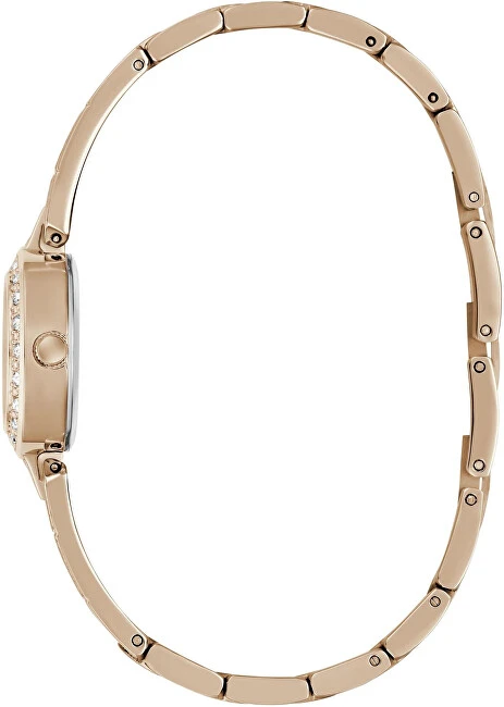 Laikrodis Guess Cassidy GW1016L4