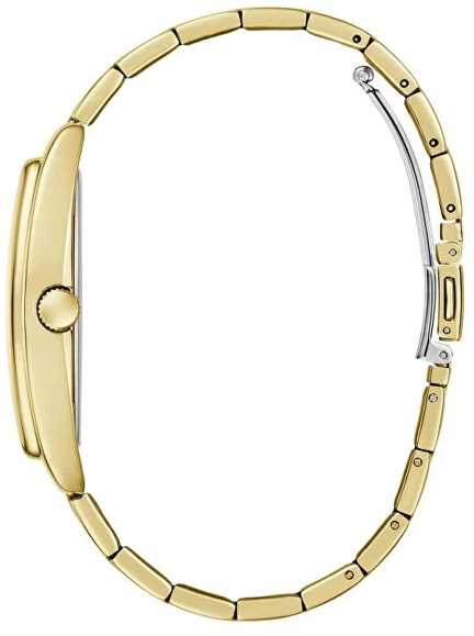 Laikrodis Guess Gabriel GW0975G2