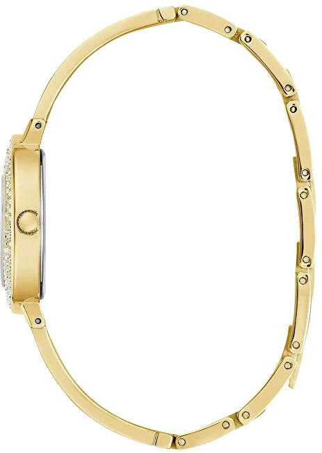 Laikrodis Watches GUESS LADIES GW0991L2