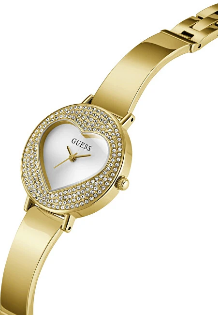 Laikrodis Watches GUESS LADIES GW0991L2