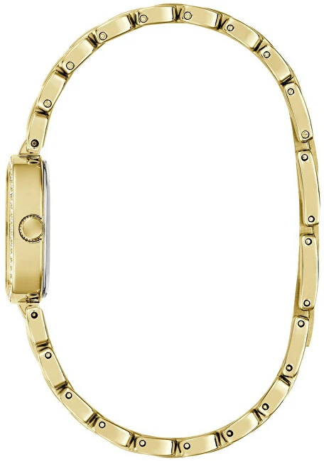Laikrodis Guess Hazel GW1018L2