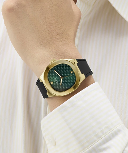Laikrodis Watches GUESS GENTS GW1005G2