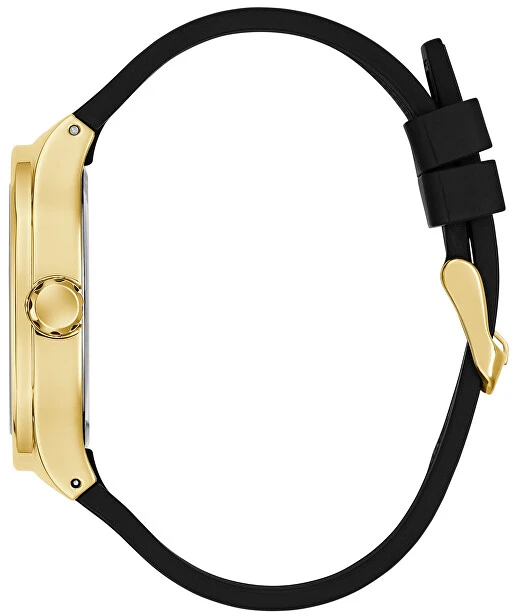 Laikrodis Watches GUESS GENTS GW1005G2