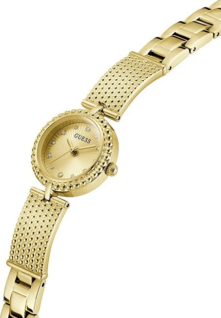 Laikrodis Guess Holly GW1017L2