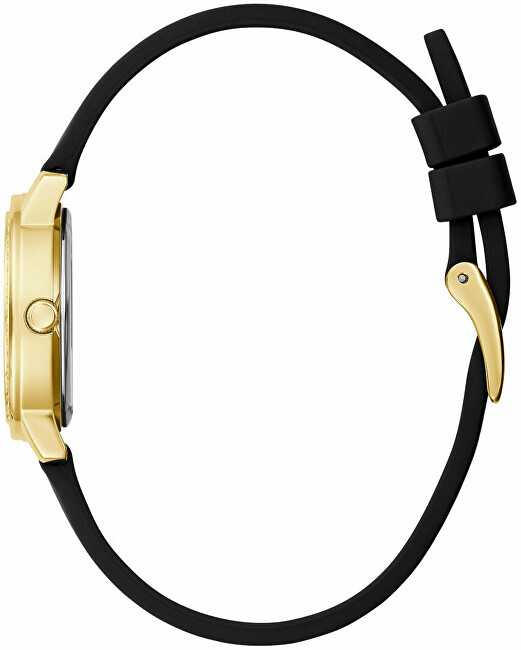 Laikrodis Watches GUESS LADIES GW0469L3