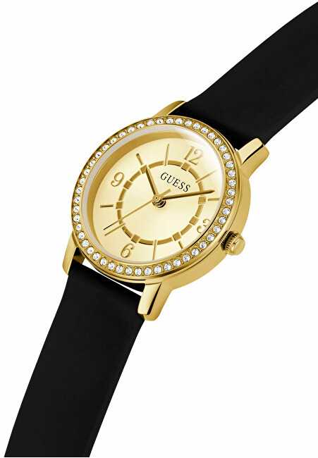 Laikrodis Watches GUESS LADIES GW0469L3