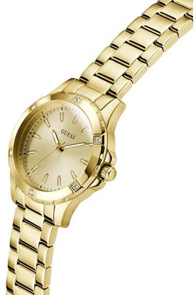 Laikrodis Watches GUESS LADIES GW0948L2