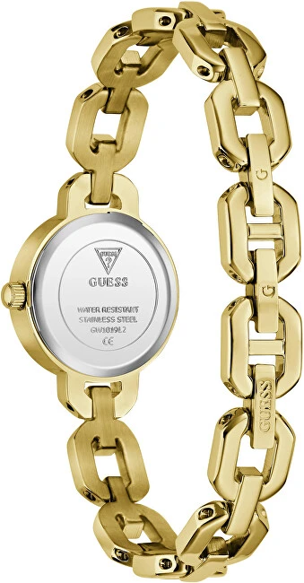 Laikrodis Watches GUESS LADIES GW1019L2