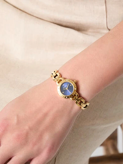 Laikrodis Watches GUESS LADIES GW1019L2