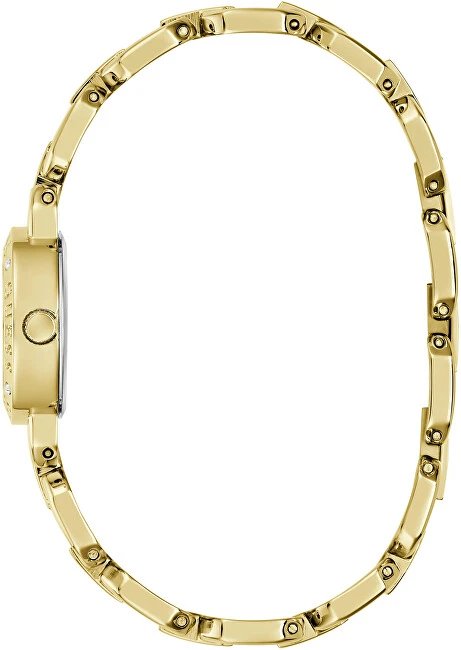Laikrodis Watches GUESS LADIES GW1019L2