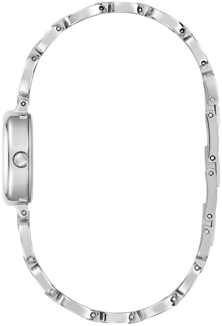 Laikrodis Watches GUESS LADIES GW0982L1