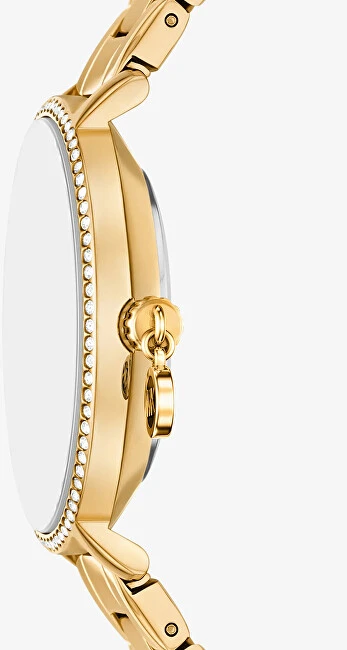 Laikrodis Michael Kors Pyper MK7616