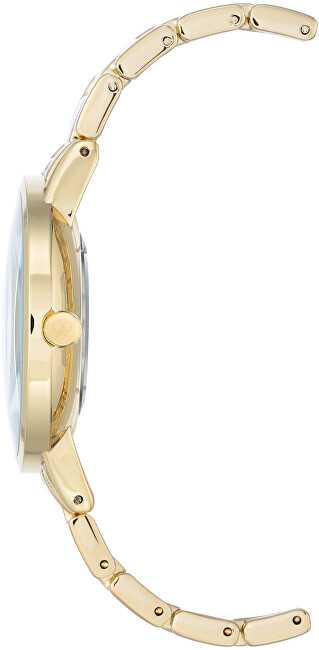 Laikrodis Nine West Analogové hodinky NW/2098CHGB