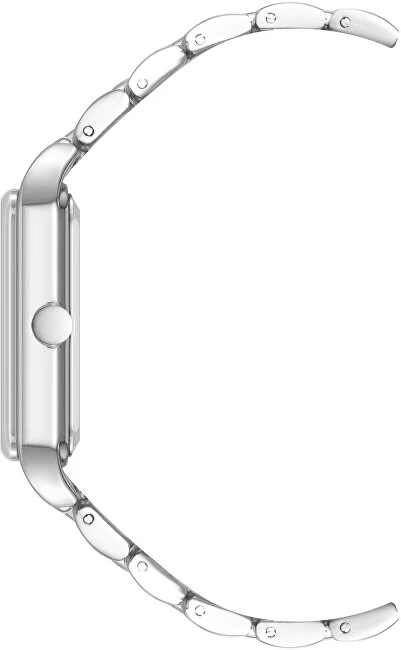 Laikrodis Nine West Analogové hodinky NW/3109SVSV