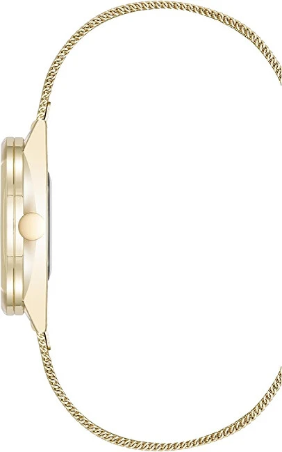 Nine West Analoginis laikrodis NW/3176CHGB