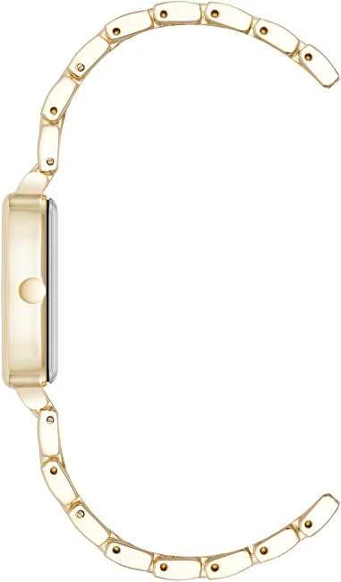 Laikrodis Nine West Analogové hodinky NW/3300CHGB