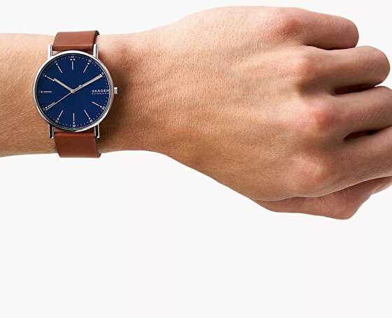 Laikrodis Skagen Signatur SKW6355