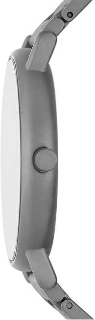 Laikrodis Skagen Signatur SKW6913