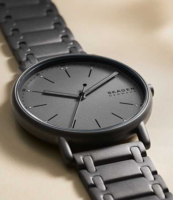 Laikrodis Skagen Signatur SKW6913