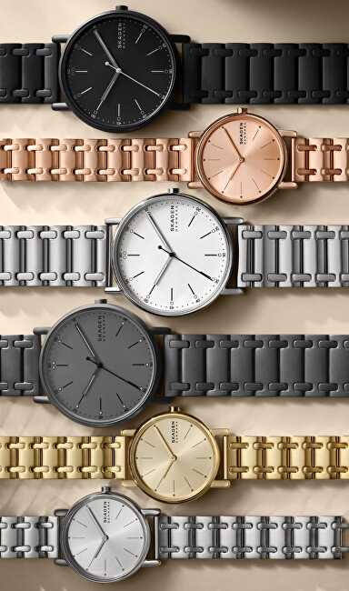 Laikrodis Skagen Signatur SKW6913