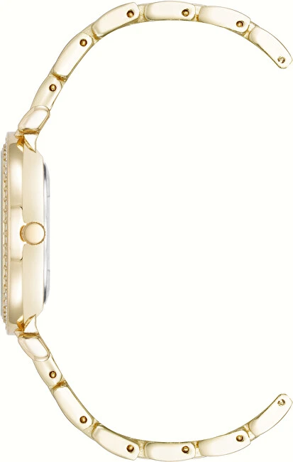 Steve Madden Analoginis laikrodis SM-8096BKGP