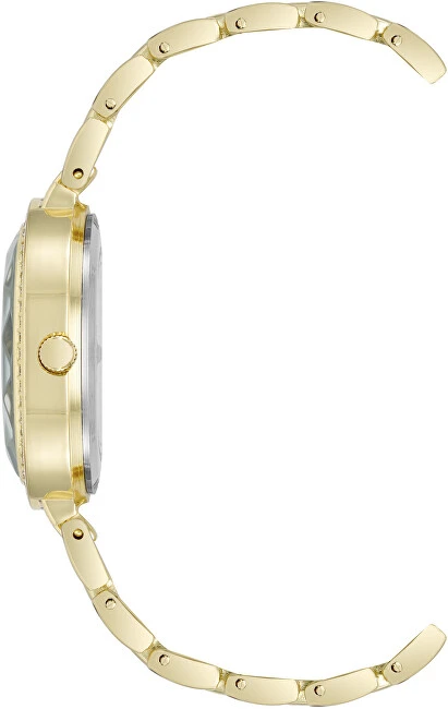 Steve Madden Analoginis laikrodis SM-8106NVGP