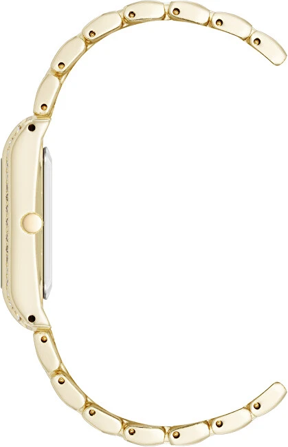 Steve Madden Analoginis laikrodis SM-8126CHGP