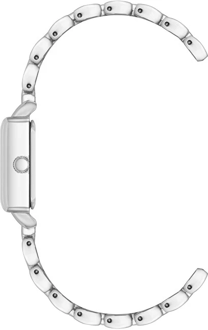 Steve Madden Analoginis laikrodis SM-8217BYSV