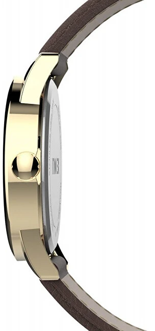 Laikrodis Timex Lengvai skaitomas skaitytuvas TW2U71500