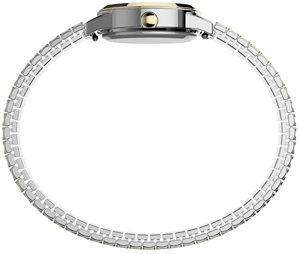 Laikrodis Timex Essex Avenue SET TWG027800