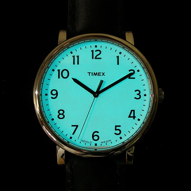 Laikrodis Timex Vyriškas stilius T2N338