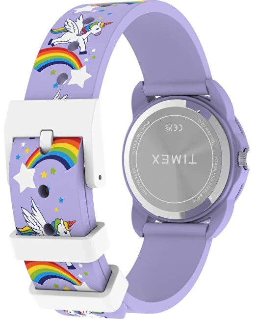 Laikrodis Timex Time Teacher TW2Y59600