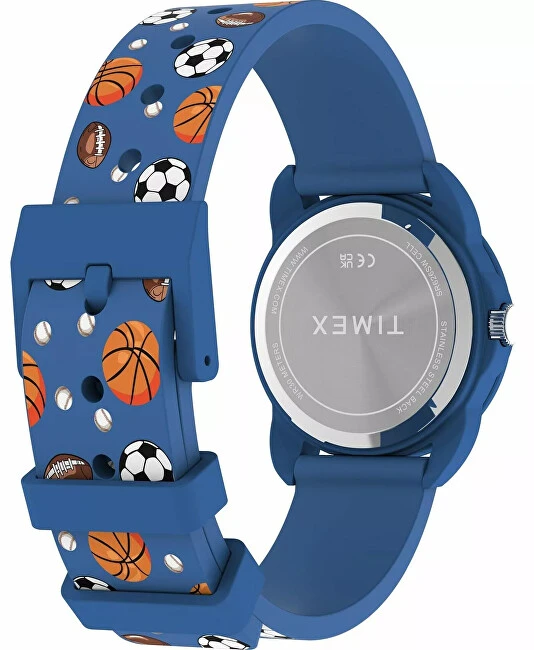 Laikrodis Timex Time Teacher TW2Y59900