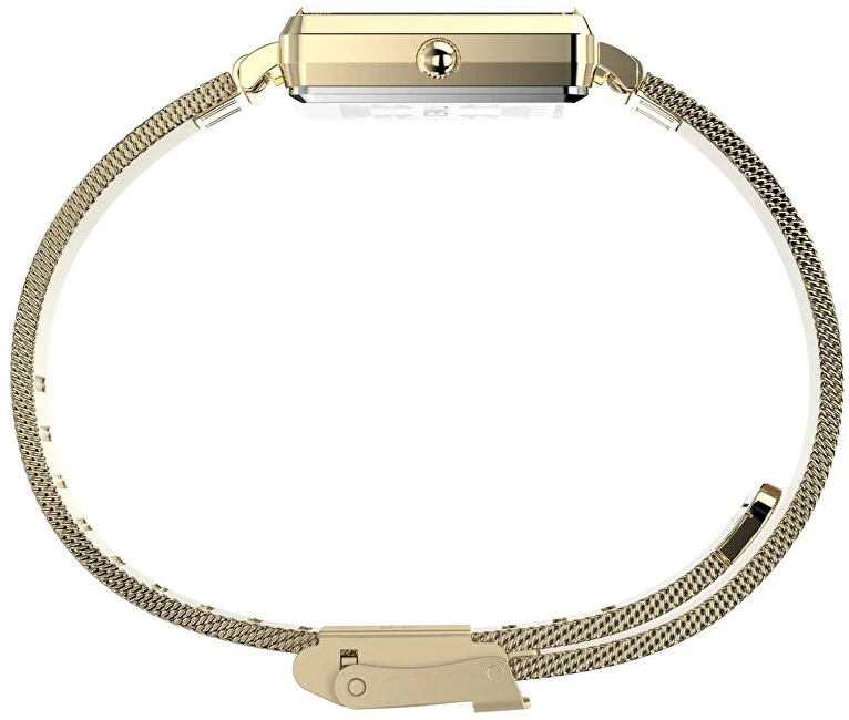 Laikrodis Timex Trend TW2Y26100
