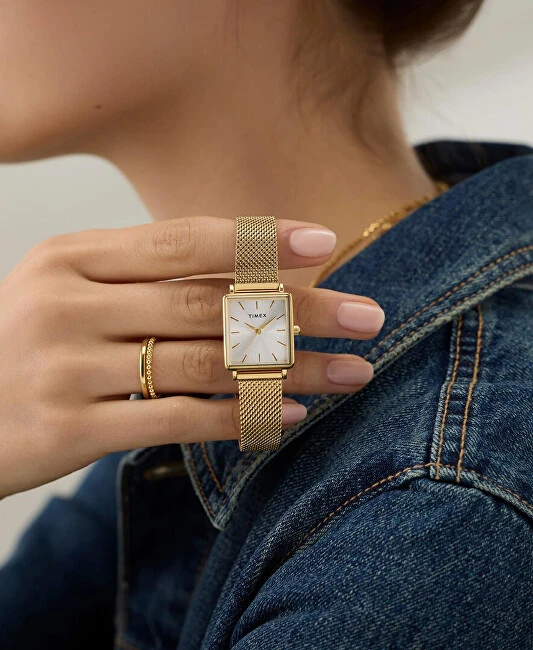 Laikrodis Timex Trend TW2Y26100