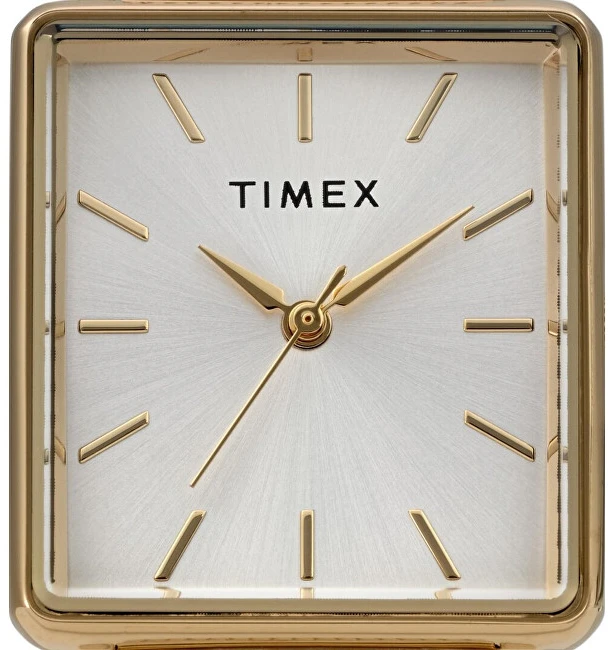 Laikrodis Timex Trend TW2Y26100