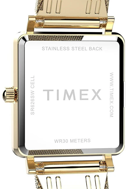 Laikrodis Timex Trend TW2Y26100