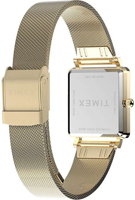 Laikrodis Timex Trend TW2Y26100