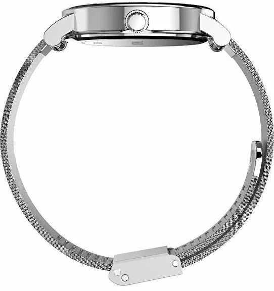 Laikrodis Timex Trend TW2Y69100UK