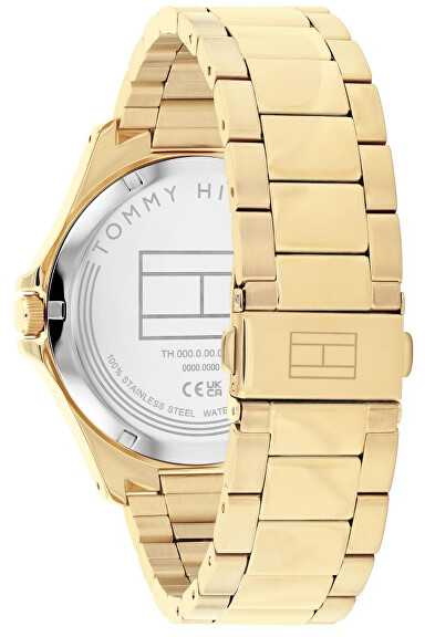 Laikrodis Tommy Hilfiger Bruce'as 1710679
