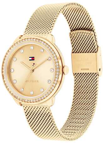 Laikrodis Tommy Hilfiger Demi 1782699