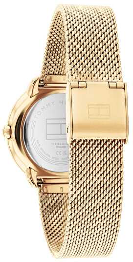 Laikrodis Tommy Hilfiger Demi 1782699