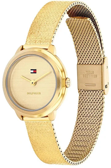 Laikrodis Tommy Hilfiger Demi 1782811