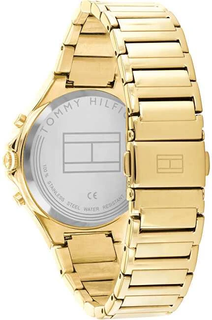 MOTERIŠKAS LAIKRODIS TOMMY HILFIGER EVE (zf523a)